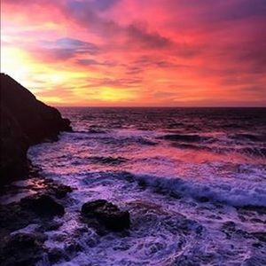 Meet your Posher, Ayan